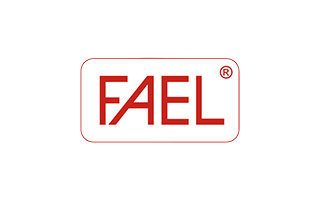 Fael Security